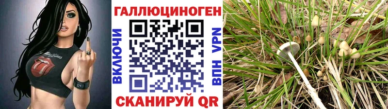 Галлюциногенные грибы Cubensis  кракен ССЫЛКА  Грозный 