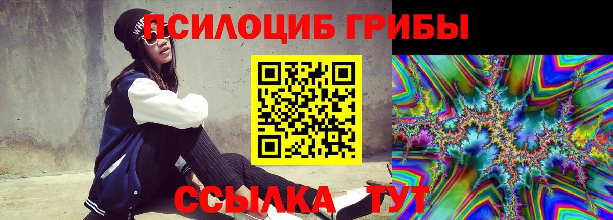 Псилоцибиновые грибы Psilocybine cubensis Грозный