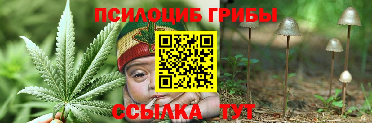 сколько стоит  Галлюциногенные грибы GOLDEN TEACHER  Вход с VPN  Грозный 